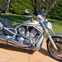 Harley Davidson V Rod 1250