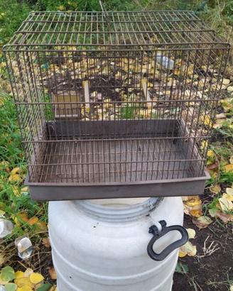 Gabbia per uccelli 
