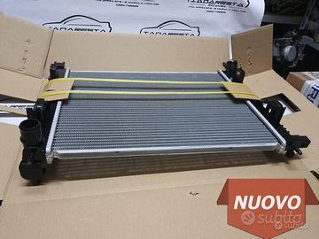 Radiatore Motore Clio - Captur - Duster 214100055R