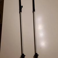 Bastoncini da nordic walking / trekking LEKKI