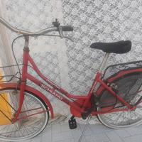 Bici Schiano 24