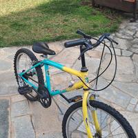 Bicicletta bambino 7 anni