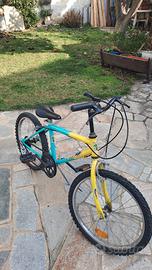Bicicletta bambino 7 anni