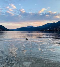 Roulotte camping punta di crabbia