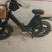 bici elettrica 