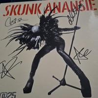 skunk anansie 25live