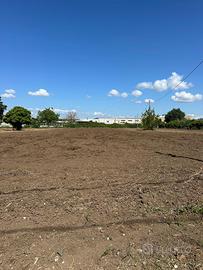 Vendessi terreno Vitulazio