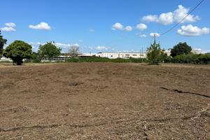 Vendessi terreno Vitulazio