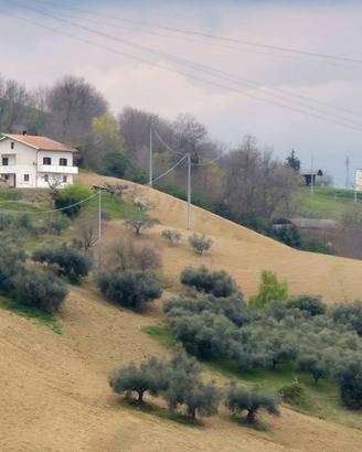 VILLA DELLE LIBERTA'