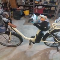 Biciclette a batteria