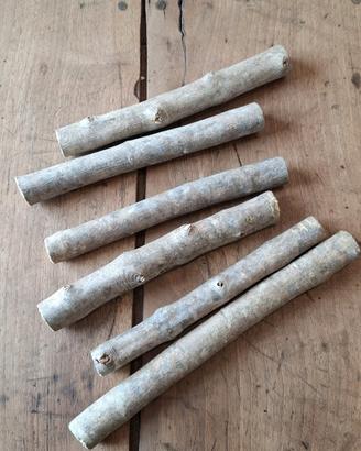 masticativi per cani 