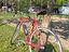 Immagine 2