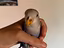 Immagine 2