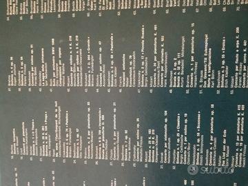 I grandi concerti Longanesi