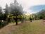 Immagine 10