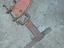 Immagine 5
