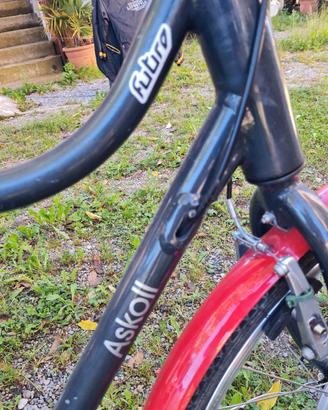 bici elettrica