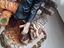 Immagine 4