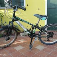 Bici 20