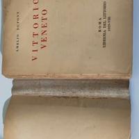 Vittorio Veneto Libro Grande Guerra