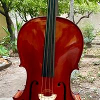 Violoncello 4/4