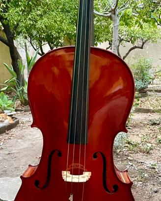 Violoncello 4/4
