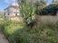 Immagine 23