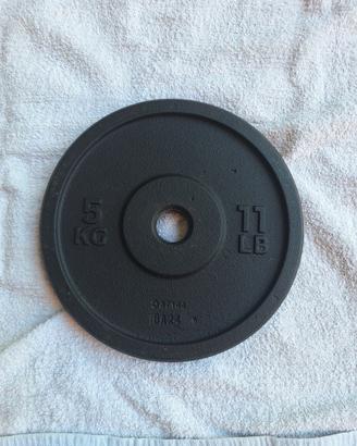 Dischi palestra 5 kg