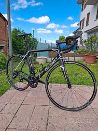 wilier 101sr