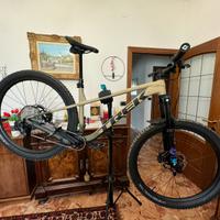 MTB Trek Roscoe 9 custom