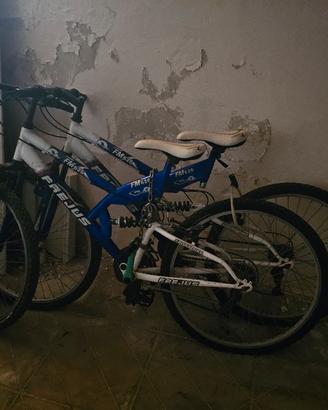 Coppia  Mountain bike