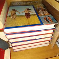 Grande Enciclopedia Medica Curcio