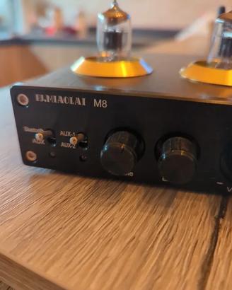Amplificatore a valvole con Bluetooth