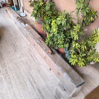 1 tenda elettrica da esterno tratt.