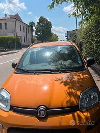 Panda 3 serie 2021 agosto