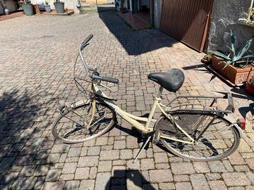 Bicicletta donna