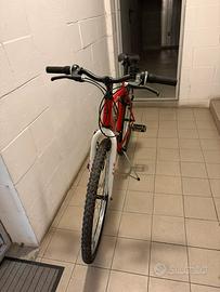 Denver bike