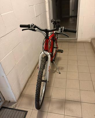 Denver bike