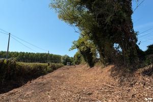 Terreno agricolo coltivabile - Martellago (Ve)