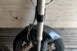 Avantreno completo Ducati Monster 796