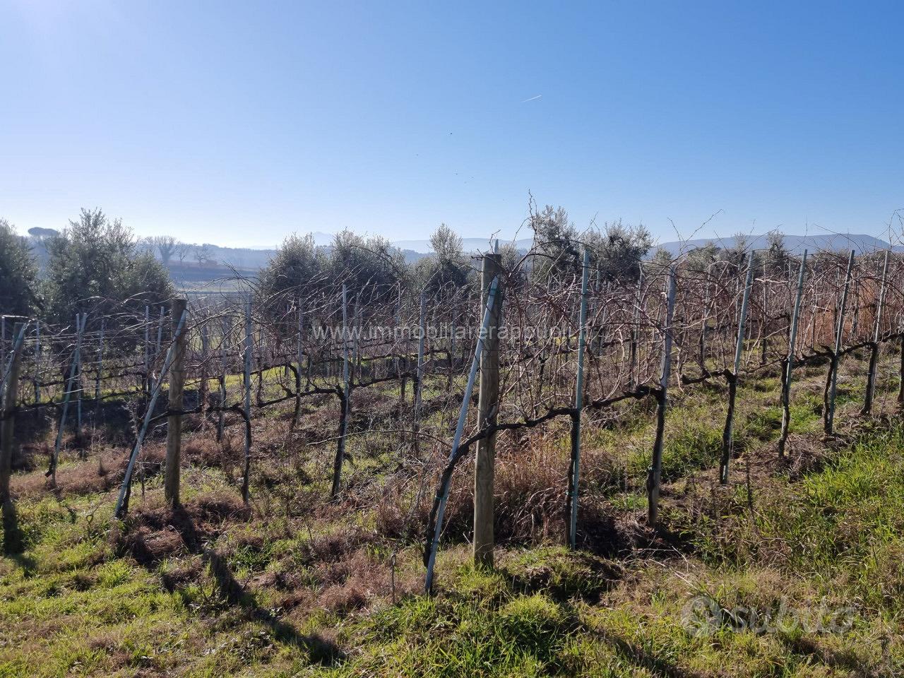 TE69 - Montepulciano terreno dove si può - Vista 4