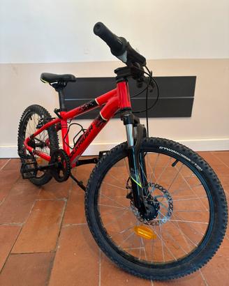 MTB ROCKRIDER 20 POLLICI ST 900