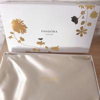 Pochette  Originale pandora Shine oro 