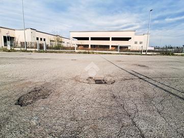 CAPANNONE A PRALBOINO