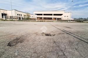 CAPANNONE A PRALBOINO