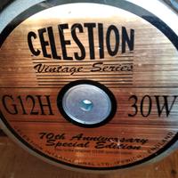 Altoparlante per chitarra usato