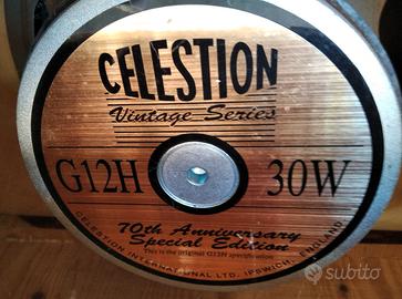 Altoparlante per chitarra usato