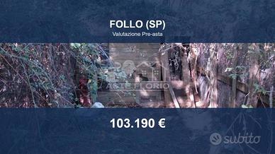 Immobile in asta di 115688 m² a Follo