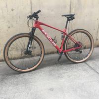 Bicicletta Mtb