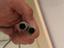 Immagine 6